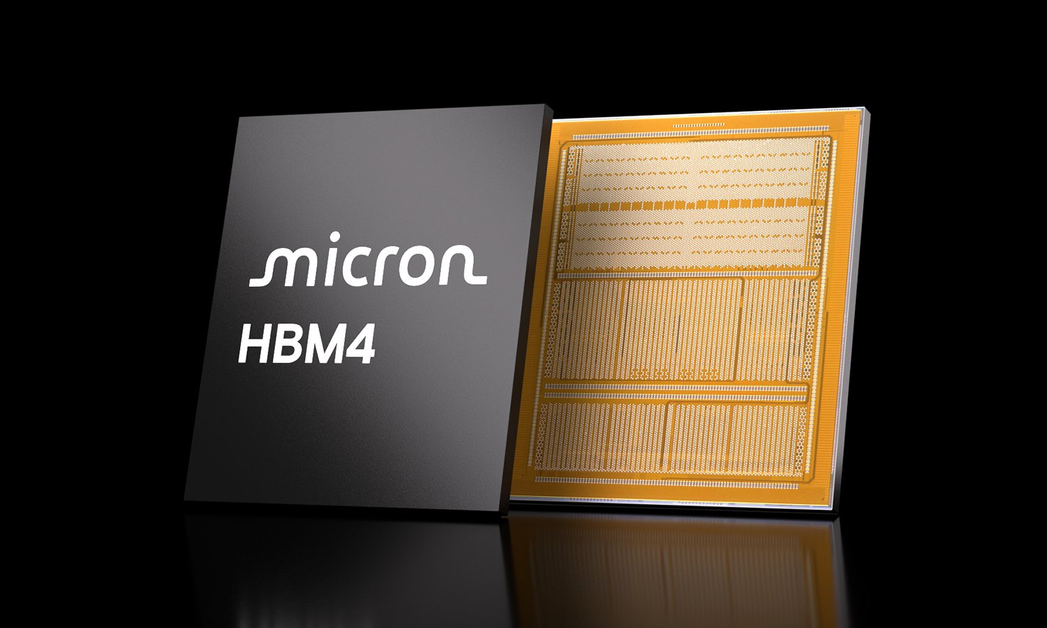 A Micron HBM4 memory package shown face-up beside its gold underside contacts on a black background.